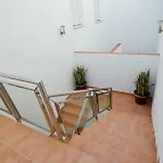 Mariposa Conil De La Frontera